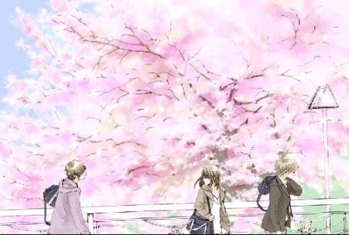 深入了解 小蓝鸟网页版
